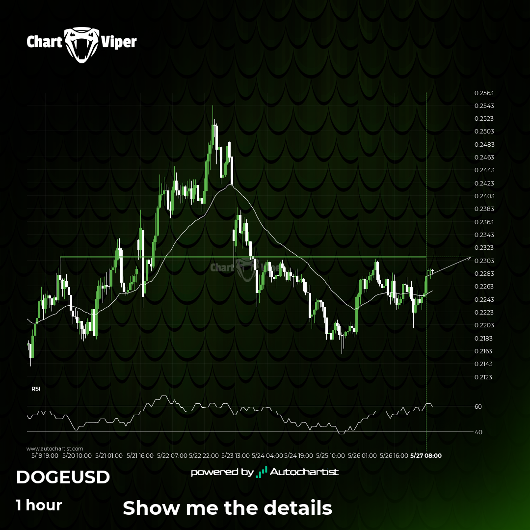 A potential bullish movement on Dogecoin