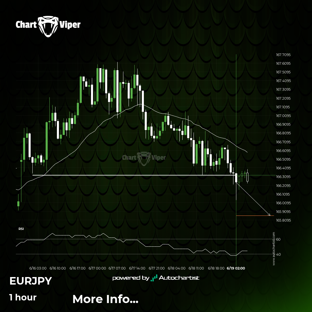 EUR/JPY Target Level: 165.8605