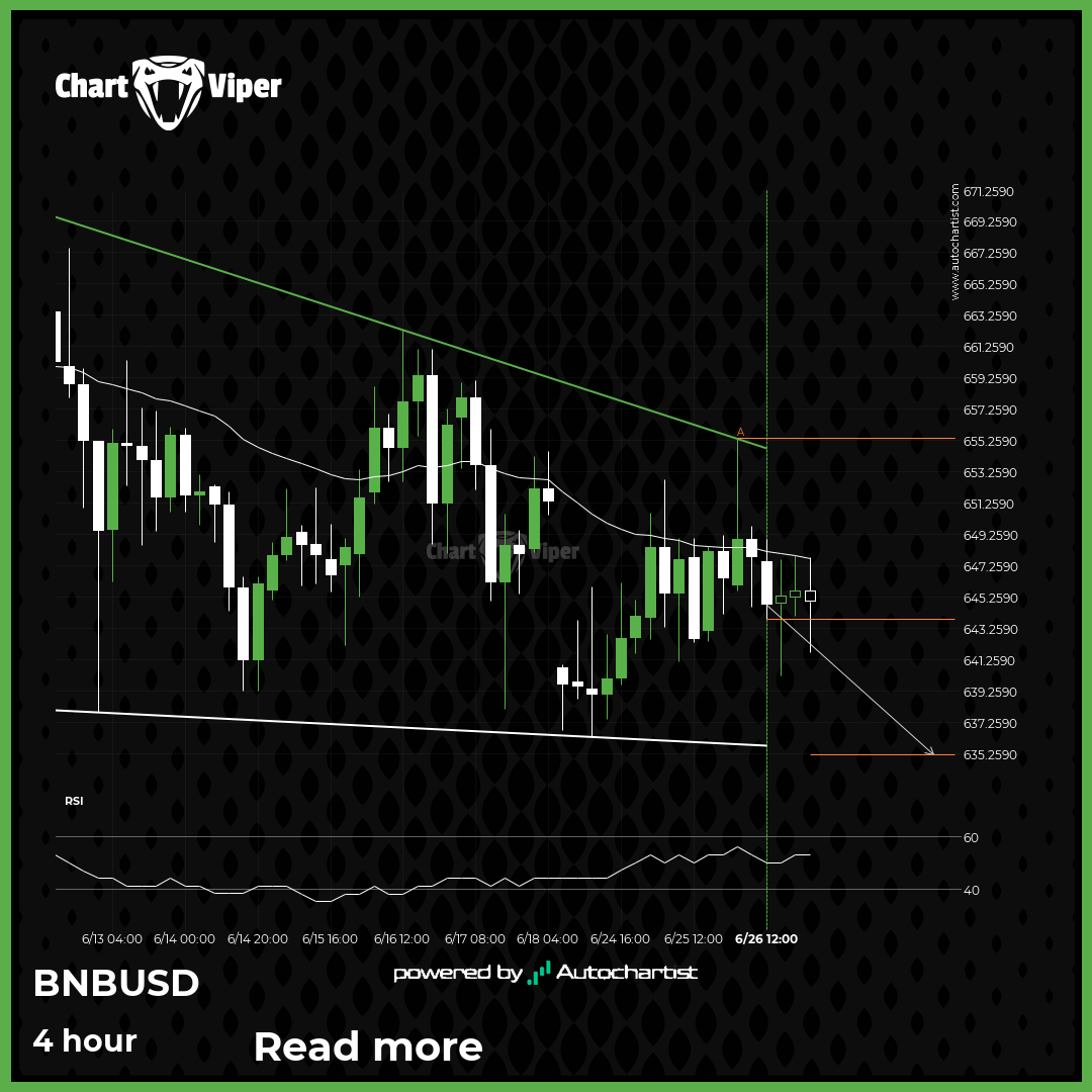 Will Binance have enough momentum to break support?