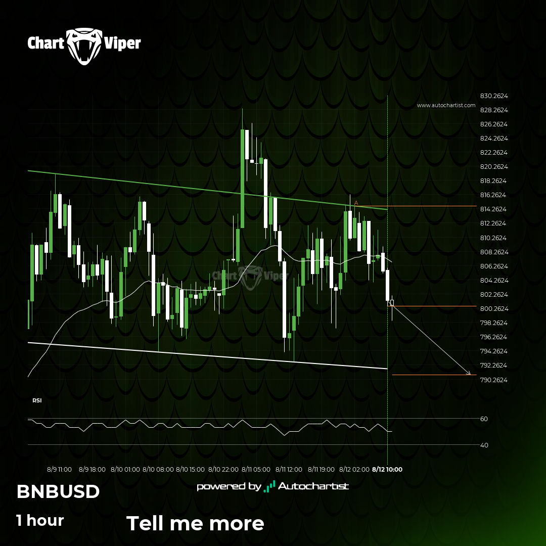 A potential bearish movement on Binance