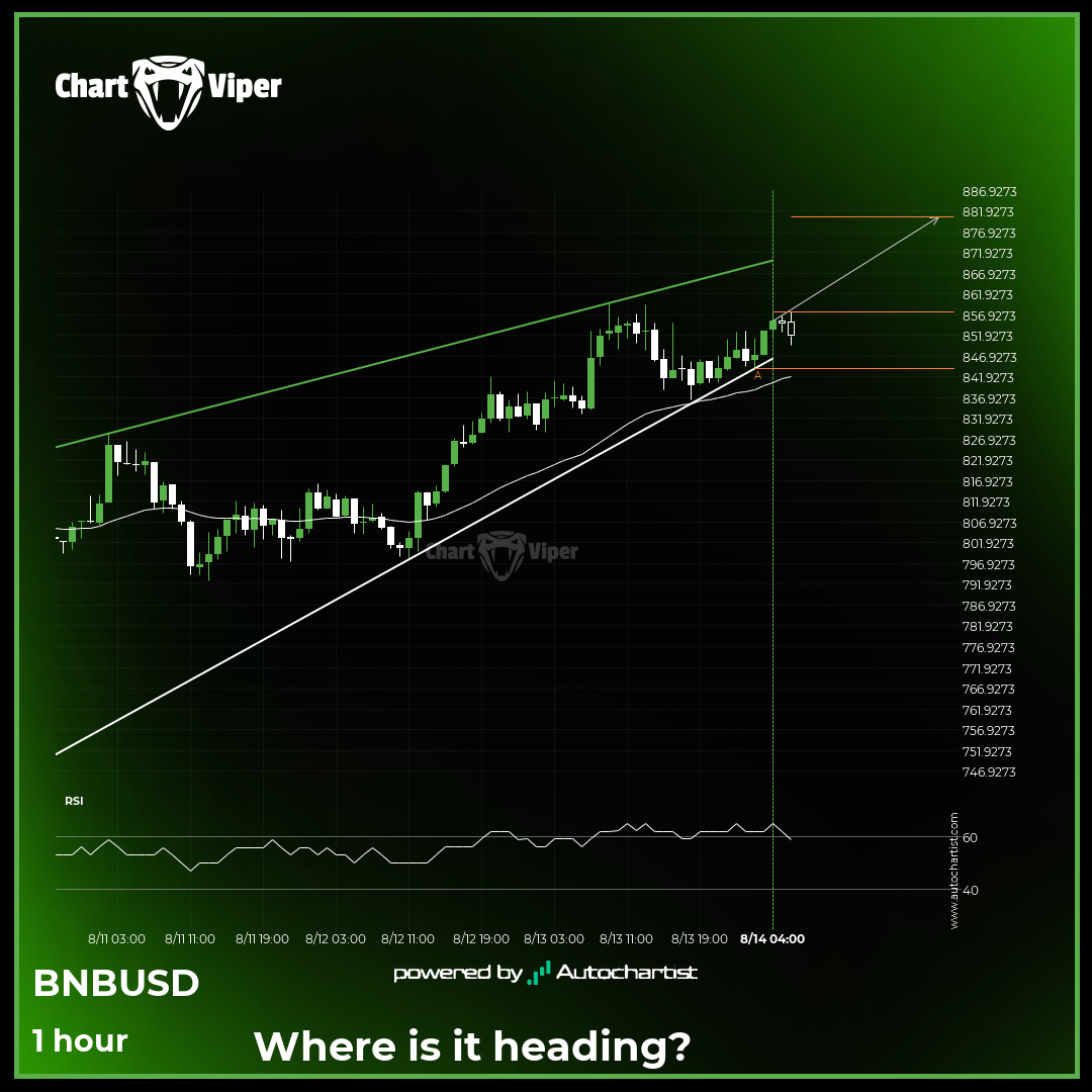 Binance - Continuation Chart Pattern - Rising Wedge