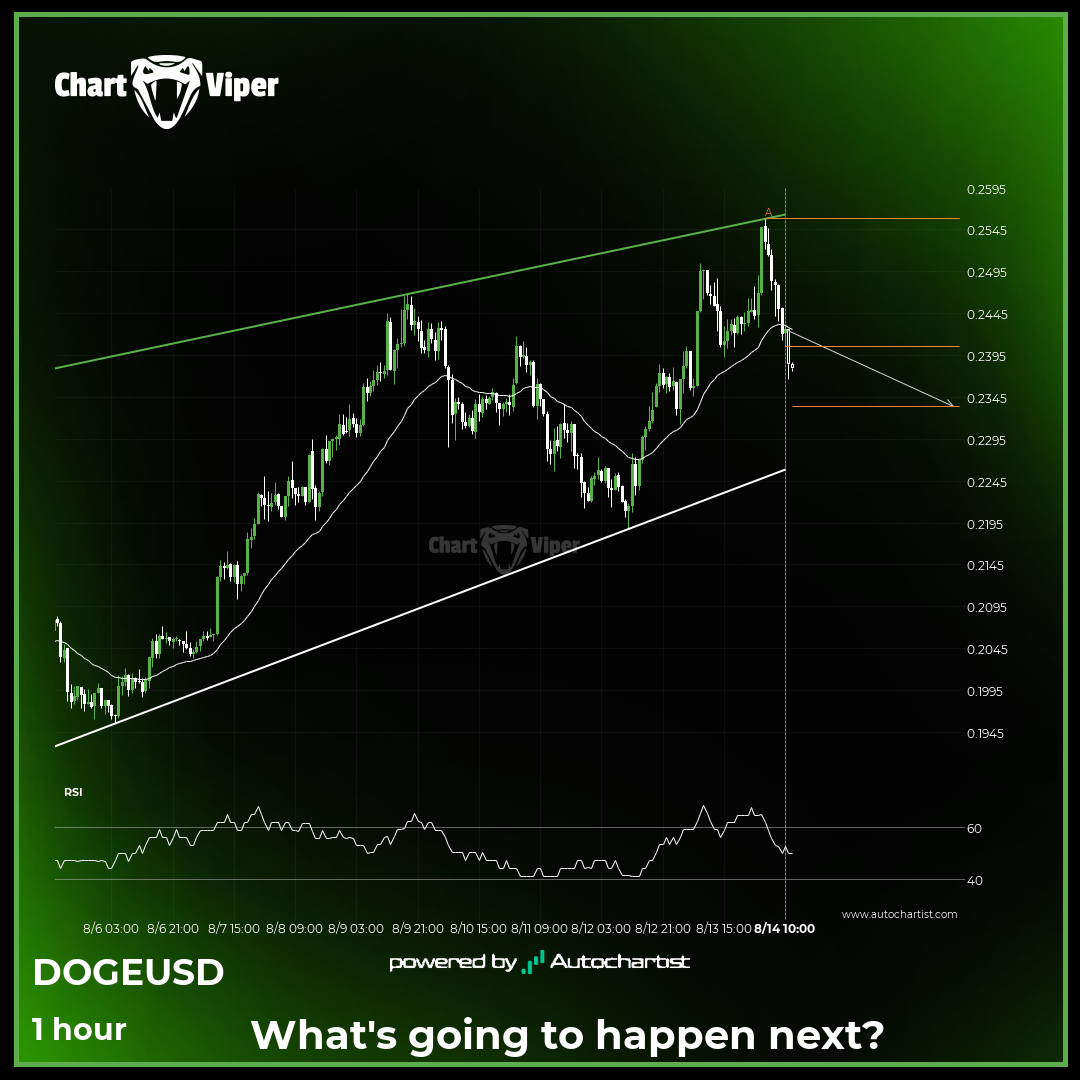 A potential bearish movement on Dogecoin