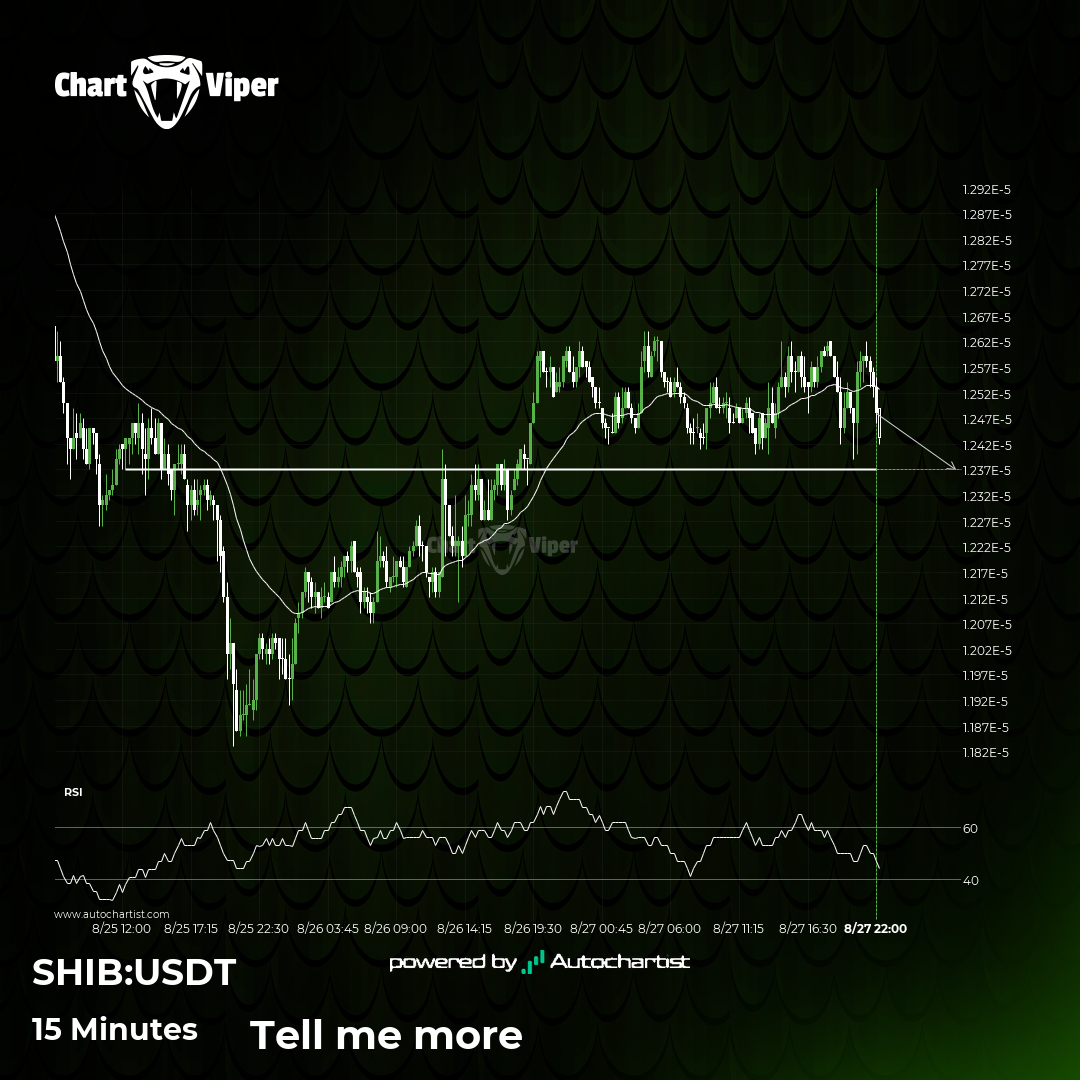 Should we expect a breakout or a rebound on Shiba Inu?