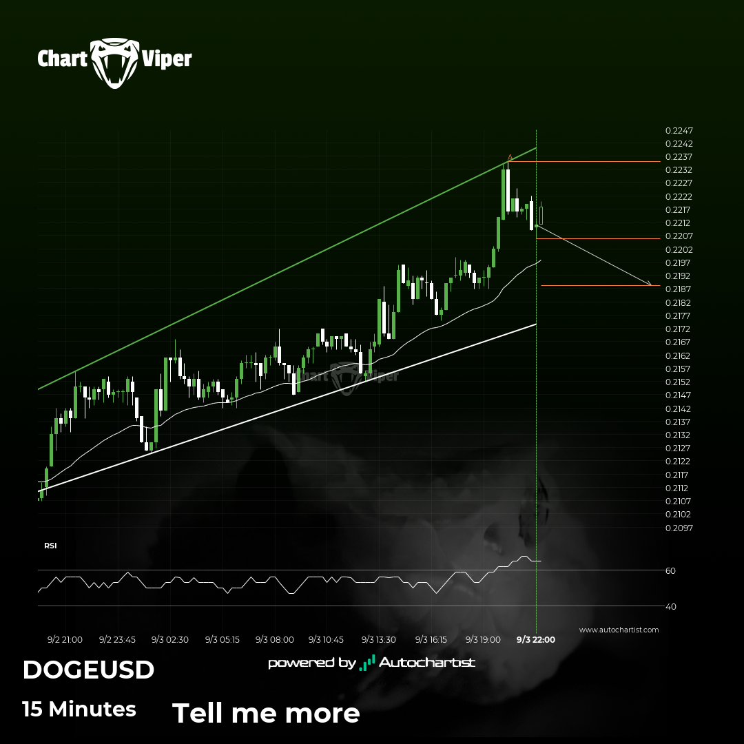 Because Dogecoin formed a Channel Up pattern, we expect it to touch the  support line. If it breaks through support it may move much lower -  CHARTVIPER