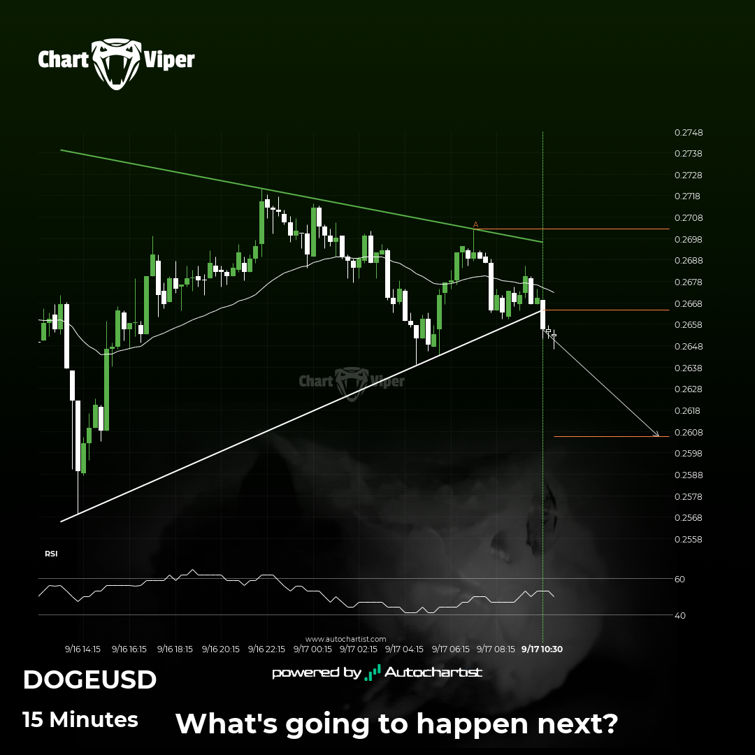 Should we expect a bearish trend on Dogecoin?