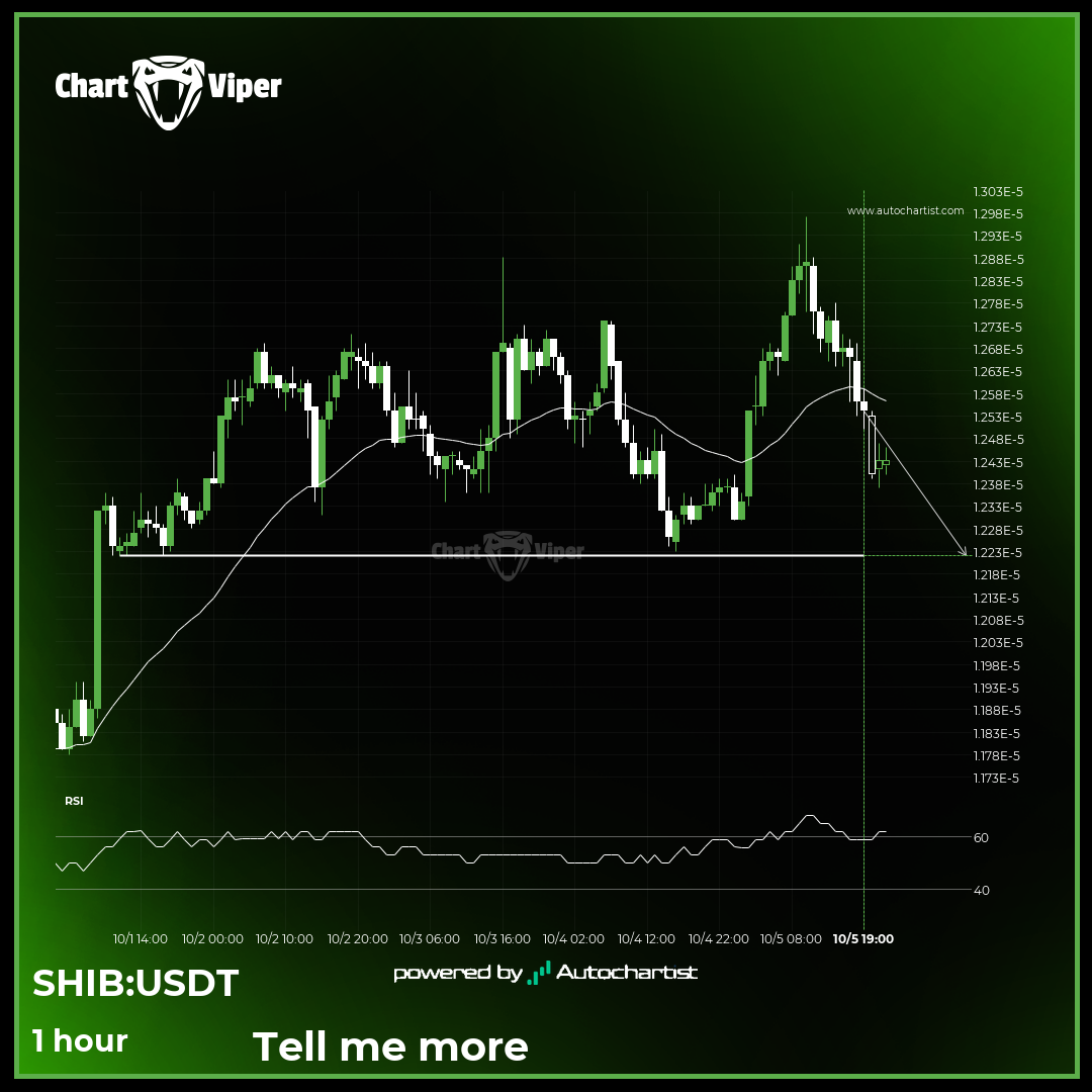 Shiba Inu - getting close to psychological price line