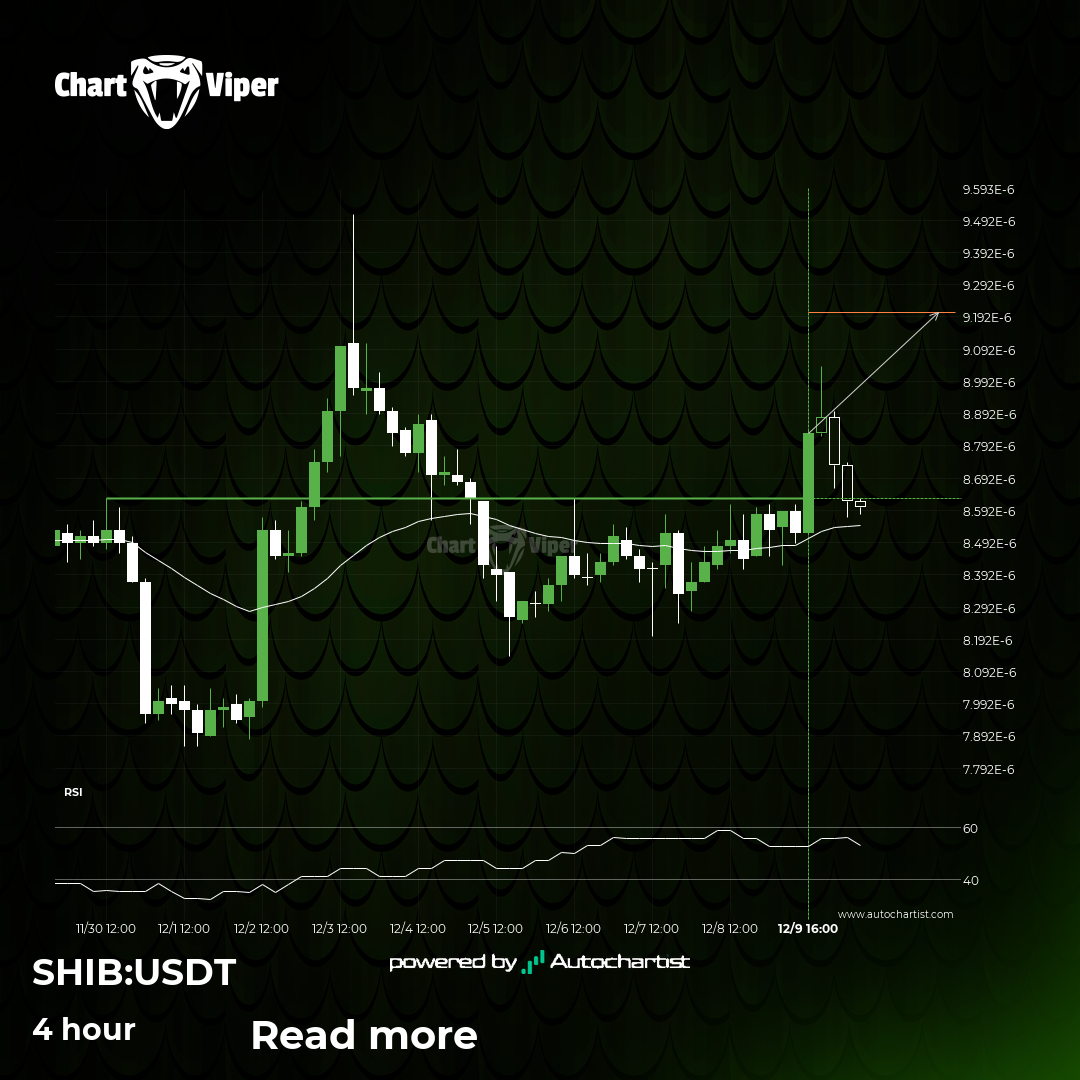Shiba Inu: the resistance line broke at 2025-12-09T14:00:00.000Z